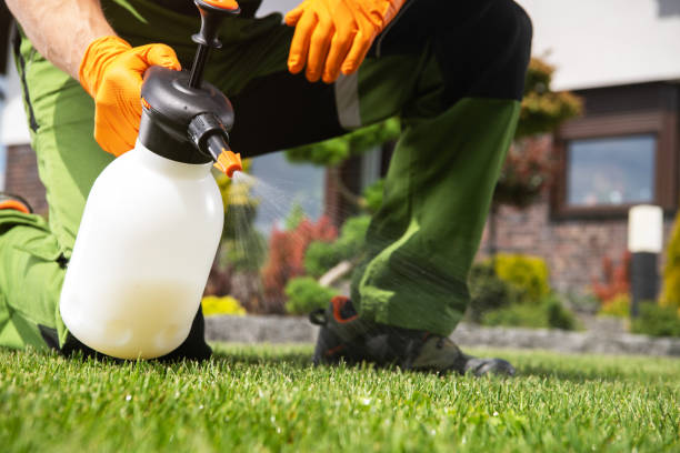 Best Insect Control  in Eaton, OH